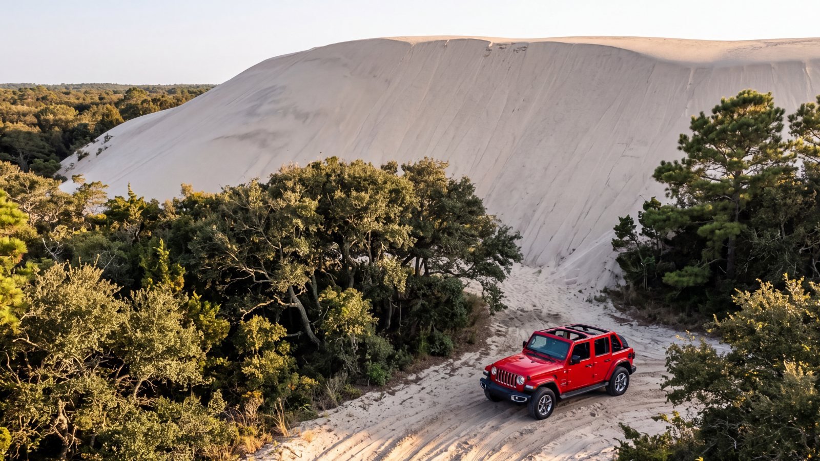 A huge bare sand dune spilling over the tops of scrub forest, with a red Jeep on the sand track below